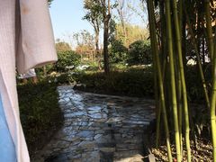 -灵山莲花公园-温泉度假区