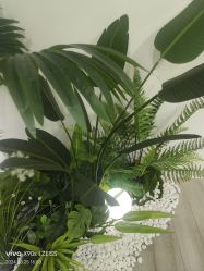 -HEYAN荷妍专业脱毛连锁机构