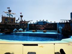 -海合安青岛极地海洋公园