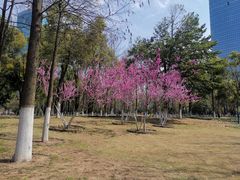 -西北湖绿化广场