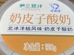 -尹三豆汁(前门旗舰店)