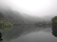 -鼎湖山风景区