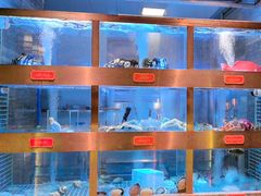 -ONE FULL 古董港式海鲜火锅