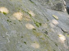 -火炉山森林公园