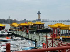 -溱湖国家湿地公园