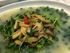 -石头咕(葵蓬店)