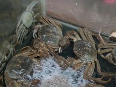 -壹只菜·崇明本地特色菜(崇明南门店)