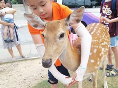 -清迈夜间动物园