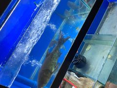 水产区-李东农庄(中南百草园地标店)
