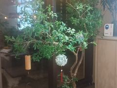 -艾耳堂·采耳头疗SPA(蟠龙天地店)
