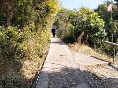 -花岙岛