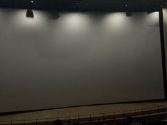 -天幕新彩云国际影城(激光巨幕店)