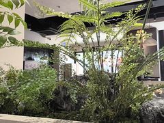 -金陵家宴·金陵春·南京菜(夫子庙店)