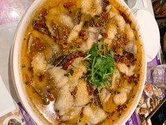 非主流沸腾鱼片-紫悦咖餐厅(清控店)
