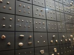 -北京周口店北京人遗址博物馆