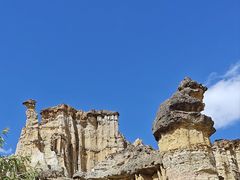 -元谋土林景区(物茂土林)