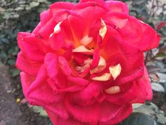 -人民公园(罗湖区)