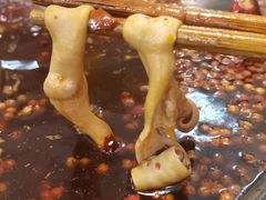 鸭肠-石灰市老火锅(北滨路店)