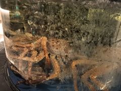 -徐记海鲜(大雁塔|金都店)