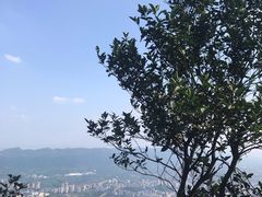 -缙云山景区