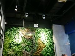 大堂-酷公社·榴莲披萨(太原街店)