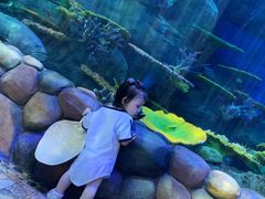 -华夏文旅海洋公园