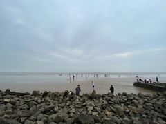 -南汇嘴观海公园