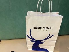 -探窝·竹笙椰子鸡(杨箕店)