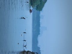 -西湖外事游船(花港观鱼码头)