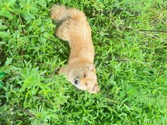 -高荡千年布依古寨旅游景区