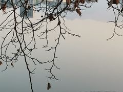 -李公堤