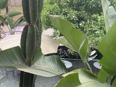 -云里小坐·小院里·团建·宴请·下午茶(三圣乡店)