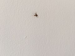 -白玉兰酒店(上海田子坊马当路地铁站店)