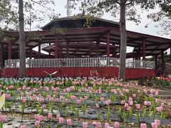 -光明农场大观园