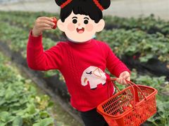 -胜丰草莓采摘园