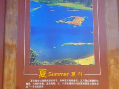 -碧塔海
