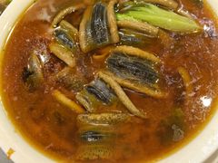 水煮鳝片-新天厨酒家(二分店)