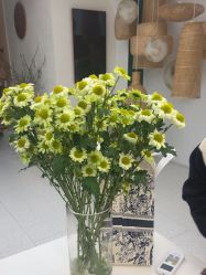 -水沐莲清瑜伽·普拉提