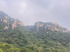 -大岭沟猕猴桃谷风景区