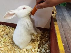 -正佳雨林生态植物园