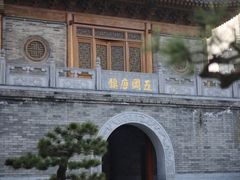 -西安大兴善寺