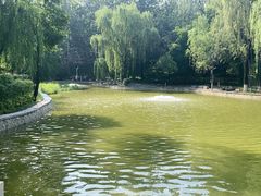 -西安市长乐公园