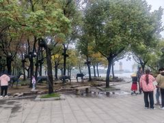 -溱湖国家湿地公园