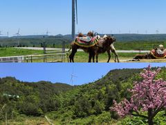 -龙里油画大草原旅游区