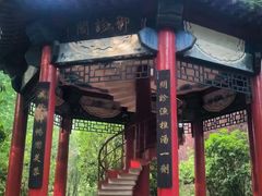 -微山湖红荷湿地景区