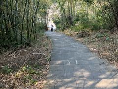 -羚羊峡古栈道森林公园