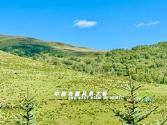 -乌兰布统草原