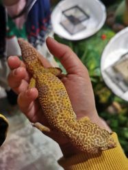 -酷嗒动物文化乐园(cutezoo西溪乐天城店)