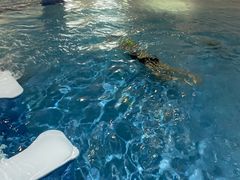 -水晶之星洗浴温泉汗蒸