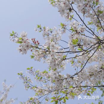 环境: 地铁樱花站可以直接到达非常方便哦~停车的话